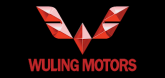 WULING PINCODE